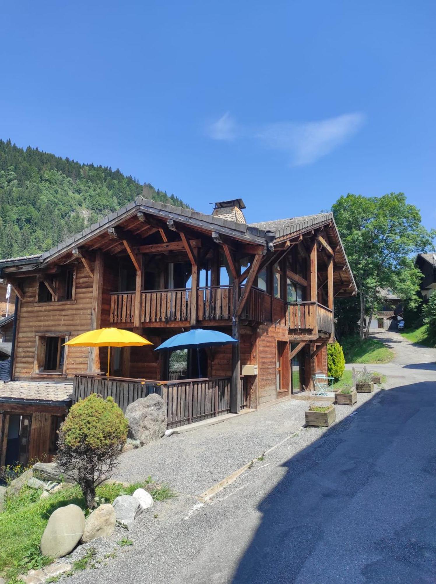 Chalet Robin - Spa- Multipass- Terrain De Petanque Морзин Экстерьер фото